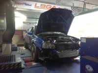 IMG_0971.jpeg