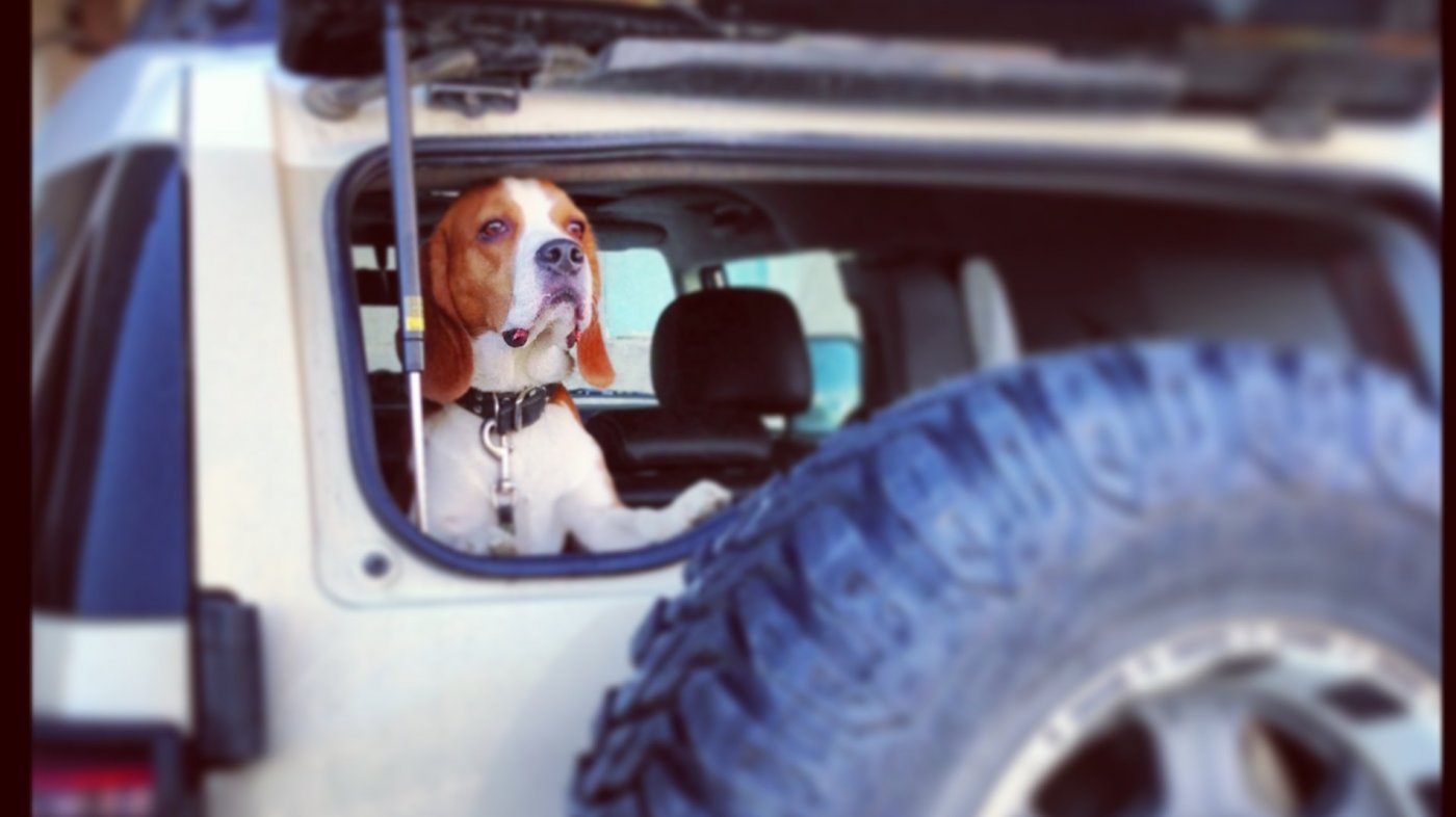 Японский уазик ака FJ | STi Клуб